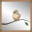 Baby Bird I Print by Beverly Fuller-576907746