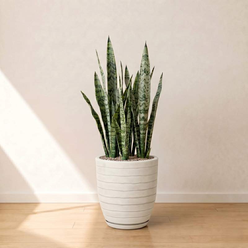 Clumm ECOBO EcoFriendly Round Pot Planter, Ravina Indoor Outdoor use, Four Season Use, Off-White, 15.7" H x 11.8" W x 11.8" D