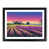 Black Framed selected