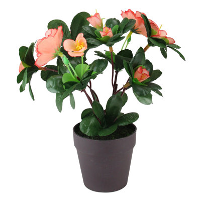 8" Orange Potted Artificial Begonia Flower Plant