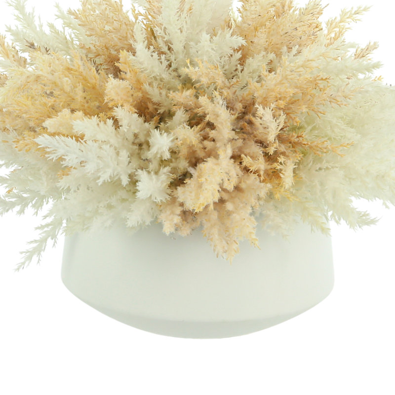 Faux Pampas Grass Grass in Ceramic Vase
