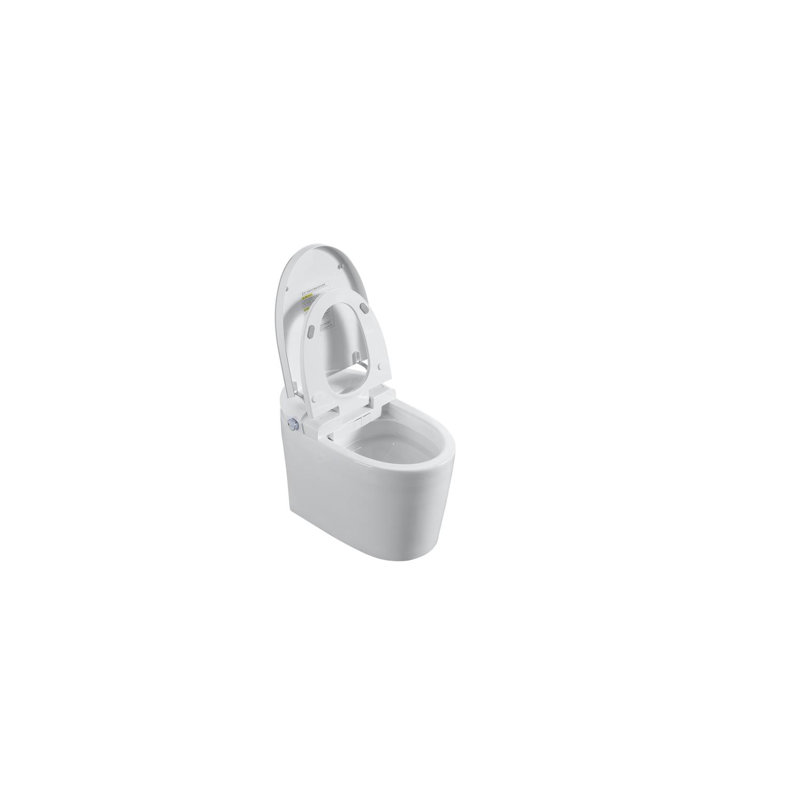 Smart Toilet