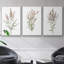 Ensemble de 3 pièces encadrées sur toile "Dicat Botanical I"-97754388-97754392