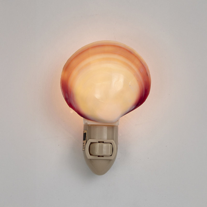 Polished Tiger Clam LED Night Light