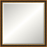 Antique Old World Mirror