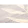 Tavon Floral Indoor Rug