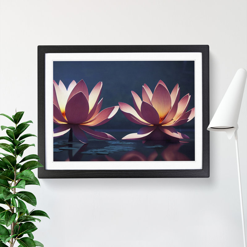 Luxurious Lotus Flowers - Single Picture Frame Print, Black, 46cm H x 64cm W x 2cm D