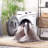 Hallel Performance Machine Washable Oriental Rug-1671739528