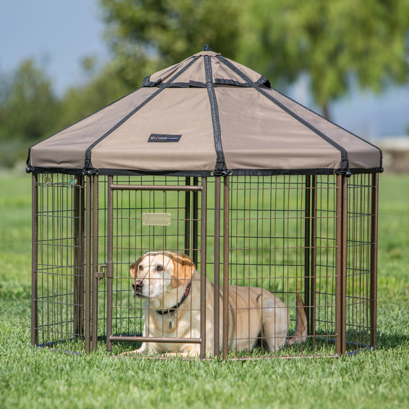 Pet Gazebo Modular Dog Kennel & Playpen with Canopy – Indoor, Outdoor & Portable Pet Enclosure, 3FT, 36" H, Brown