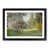 Black Framed