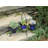 Trishelle Glass Pot Planter