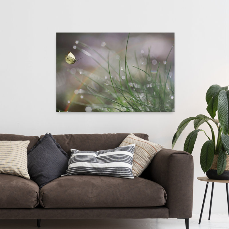Morning Dew Butterfly Delicate Peaceful Serene Butterfly Nature Spring Wall Art Print by Anna Cseresnjes - Wrapped Canvas Print