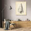 «Dovecove Harper, Ethan Gallery», art sur toile tendue: Antique Shell Study V-1068259294