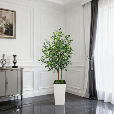 Ficus benjamin artificiel 5 pi Evergreen