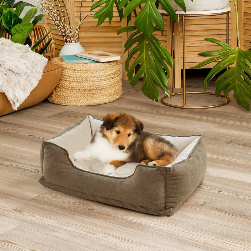 Polyester Pet Bed, 27.9cm H x 61cm W x 83.8cm D