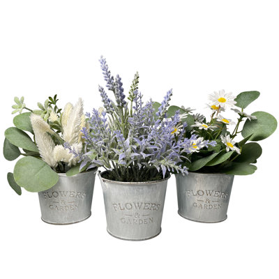 Arrangement floral Gira en pot