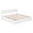 Lamecia Solid Wood Platform Bed with Trundle-1382348526-1382348524