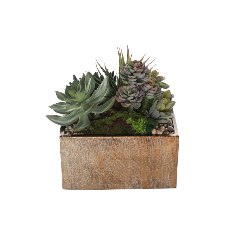 Faux Succulent in Square Etched Pot, Gold