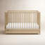 Teddi 5-in-1 Convertible Crib with Storage-111845994-71801591