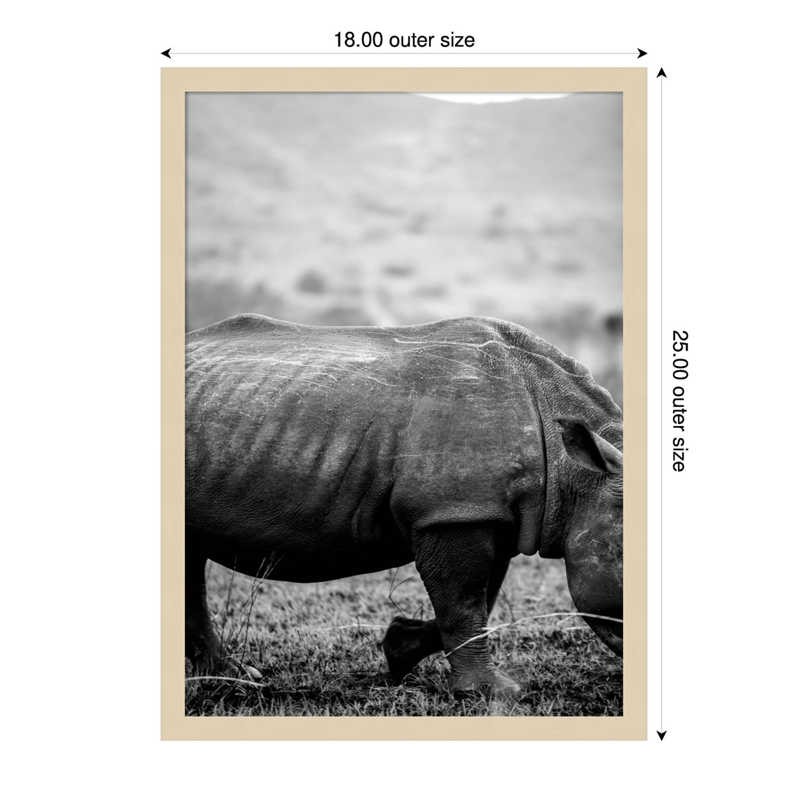 Pepperidge "Black Rhino" Print, Brown, 25" H x 18" W