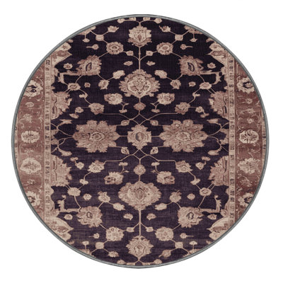 Machine Washable Overdyed Brown Area Rug
