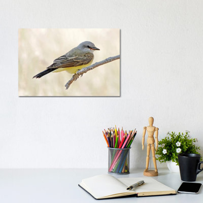 Flycatcher 1 Piece Wrapped Canvas Wall Art