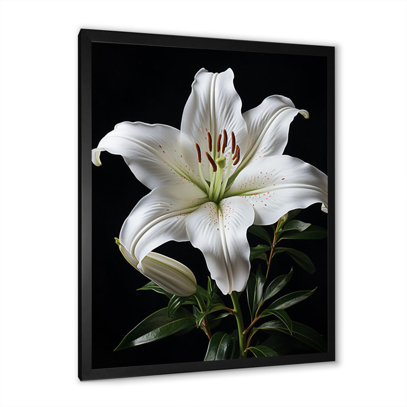 Impression sur toile encadrée, "Black Lily", Cadre simple noir, H 32 po x l 24 po x P 1 po