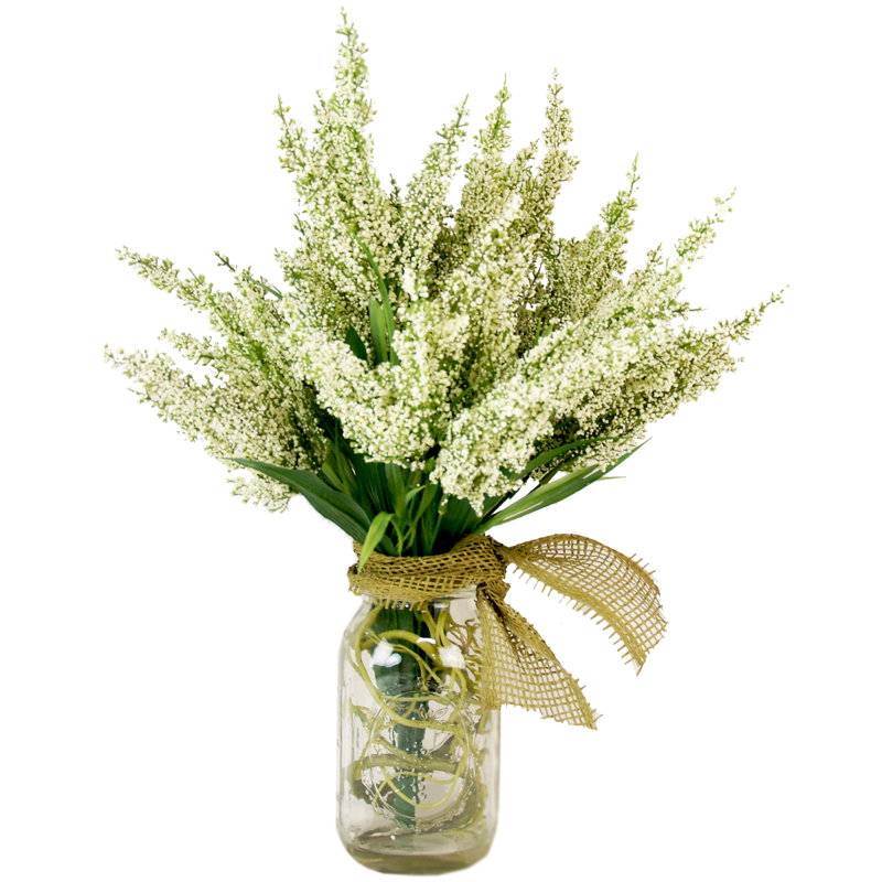Lillyauna Heather en pot