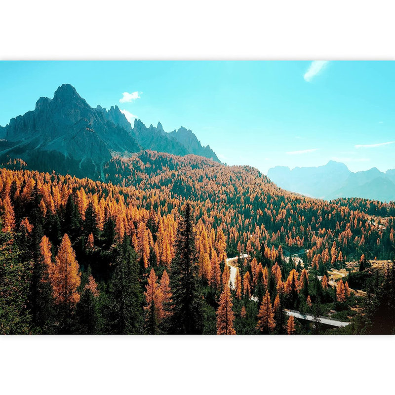 Peel & Stick Border, 66" L x 96" W