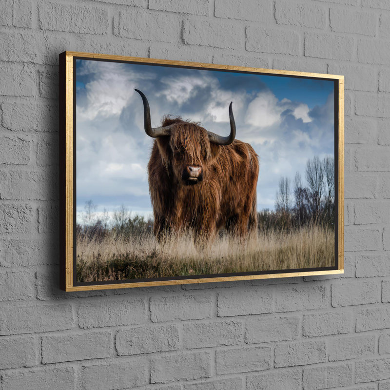 Print on Canvas, Gold Floater Framed, 40 cm H x 60 cm W