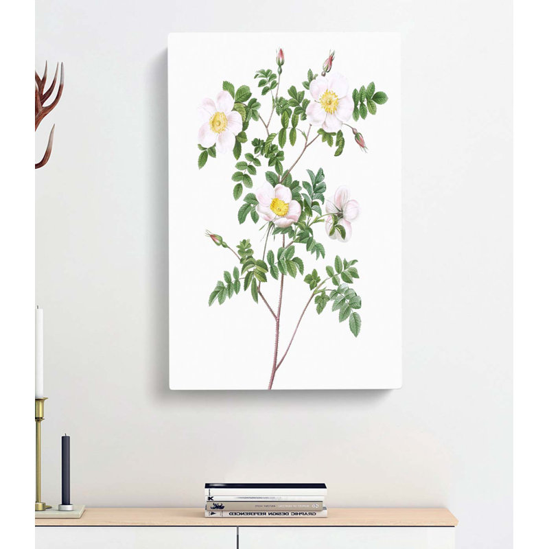 De Candolles White Rose by Luo Ping - Wrapped Canvas, 76cm H x 50cm W x 3cm D