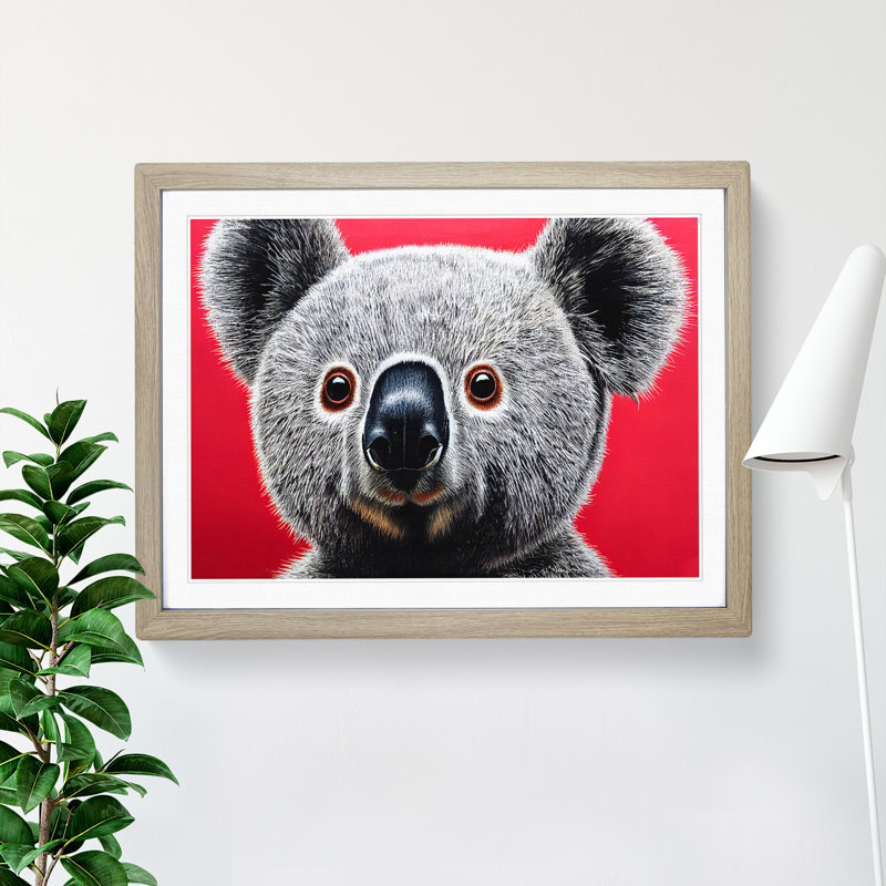 Handsome Koala Bear - Single Picture Frame Print, 25cm H x 34cm W x 2cm D, Oak Framed