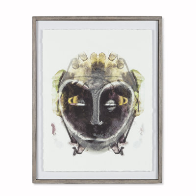 Imaginary Tribe Mask-C Print