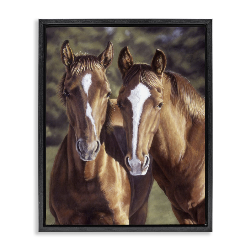 "Brown Horse pair", art mural encadré par Victoria Schultz, Cadre flottant noir de jais, H 21 po x l 17 po
