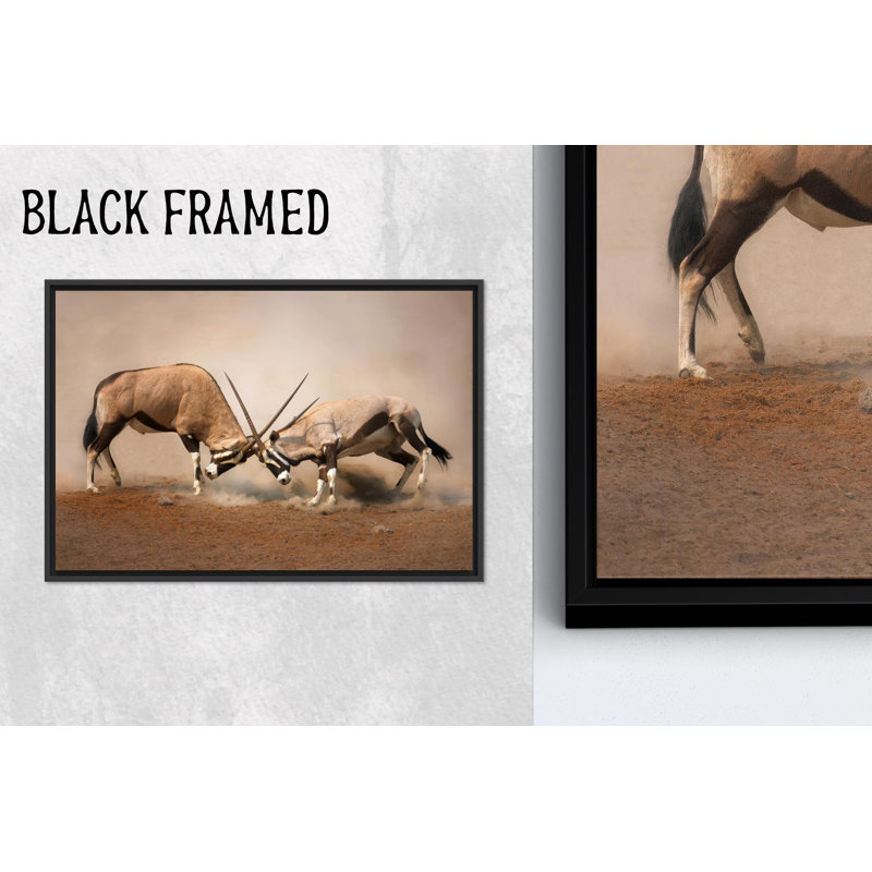Toile imprimée: art mural Gemsbok - décor de la faune d'Afrique, 1P, 31,6 po H x 43,4 po l