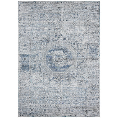 Oriental Area Rug in Blue