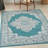 Oriental Indoor Rug