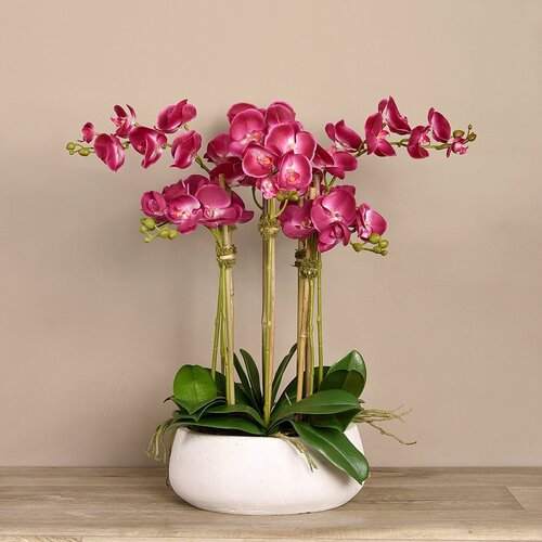 Vivian Rose Orchid Arrangement & Reviews | Wayfair