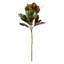 Grand Magnolia 32-Inch Leaf Stem