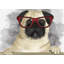 Geek carlin - Imprimé mat pour animaux de compagnie encadré gris