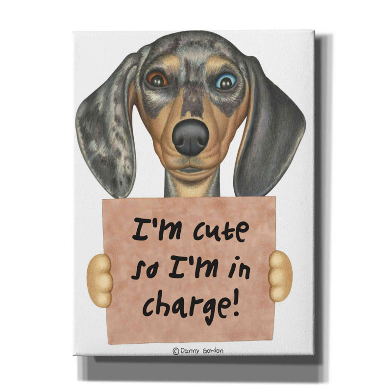 Trinx 'Dappled Dachshund Blue Brown Eyes' By Danny Gordon Art, H 16 po x l 12 po x P 0,75 po