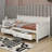 Caileon Daybed Storage Bed