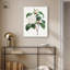Toile de camélia blanc par Art Remedy-112532906-113420524-113420531
