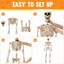 Squelette posable 5 pi d'Halloween grandeur nature