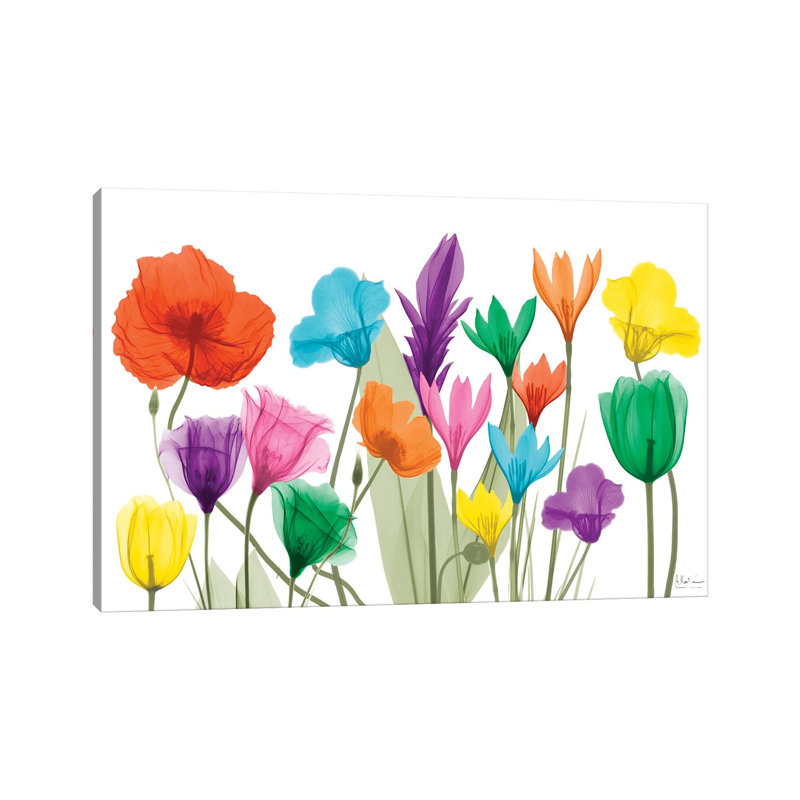 Pretty Floral Jewels I by Albert Koetsier - Wrapped Canvas Print, 20.32cm H x 30.48cm W x 1.91cm D