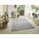 Machine Woven Silver Indoor/Outdoor Rug