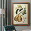 Impression sur toile encadrée de qualité supérieure de fruits de Toscane IV - prête à être accrochée-129538947