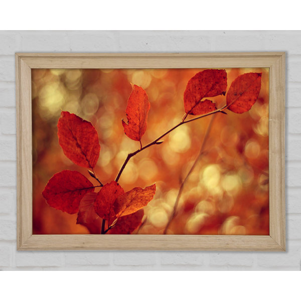 Ebern Designs Leaves In Autumn - Print | Wayfair.co.uk