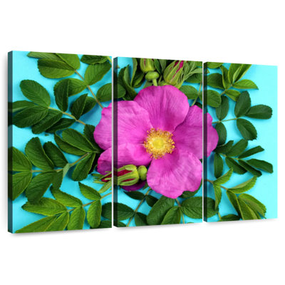 Rose Harnek Magenta