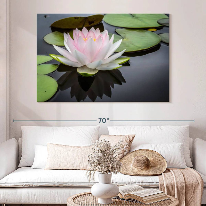 Lotus blanc rosé Harnek, H 34 po x l 51 po